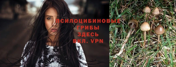 ГАЛЛЮЦИНОГЕННЫЕ ГРИБЫ Балахна