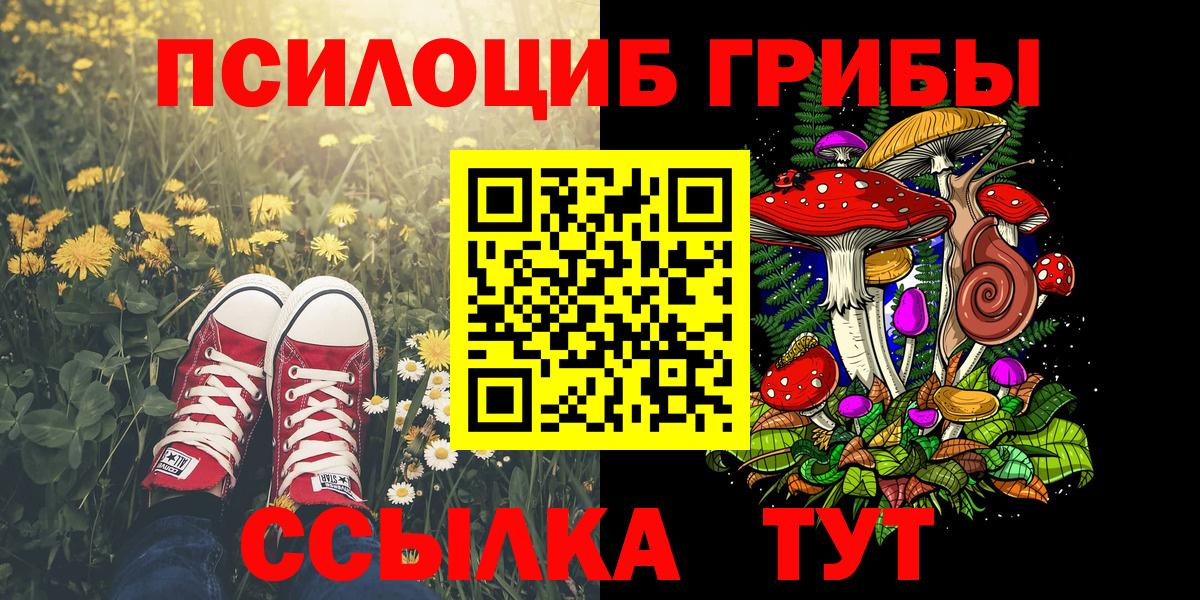 Галлюциногенные грибы Psilocybe  Вход с VPN  Коммунар 